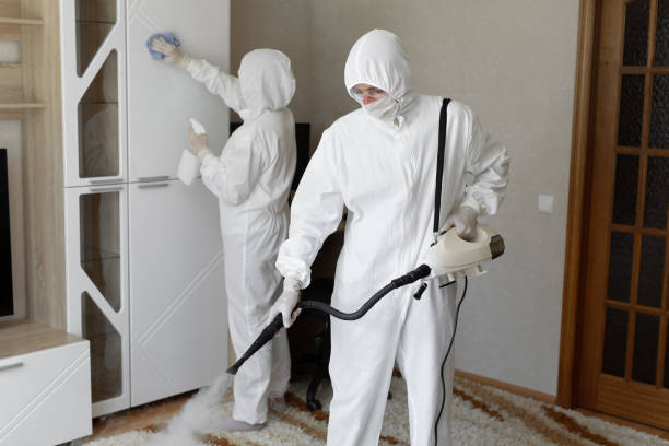 Attic Mold Removal in Aberdeen Proving Ground, MD