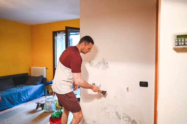 Best Certified Mold Removal  in Aberdeen Proving Ground, MD