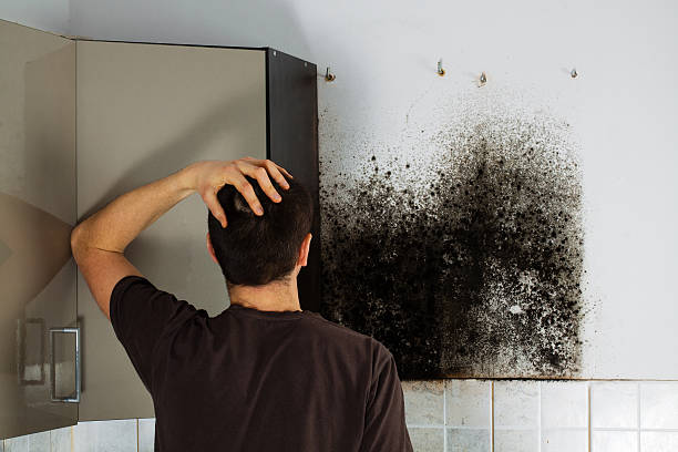 Mold Removal Process in Aberdeen Proving Ground, MD